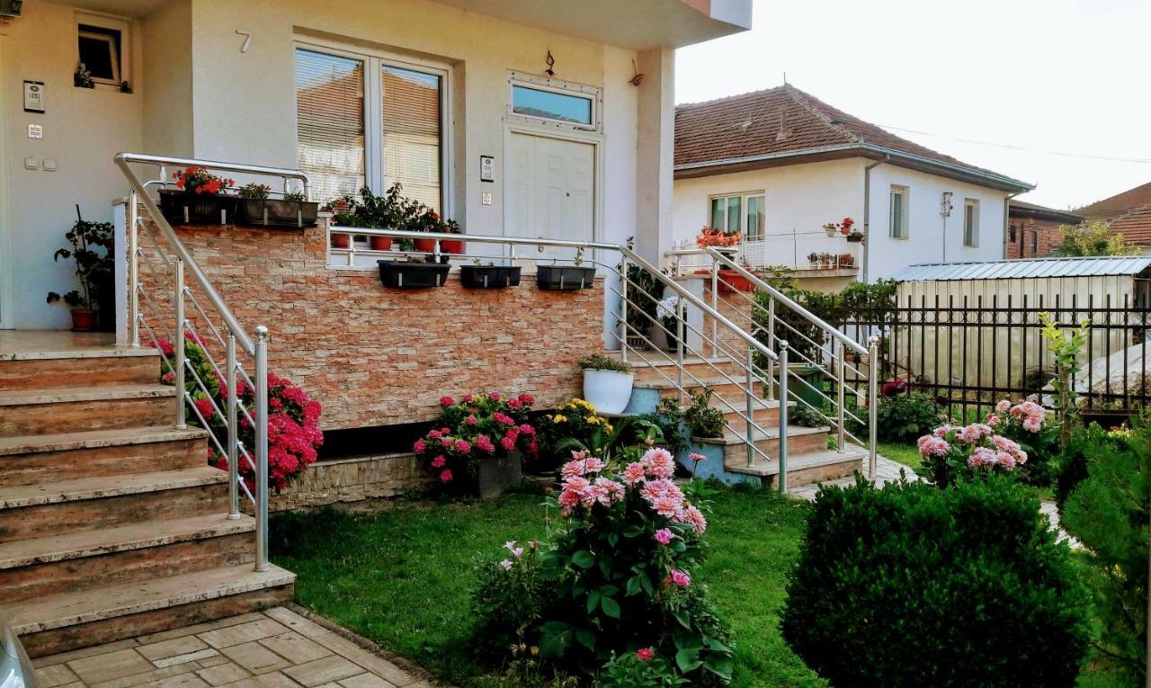 Guest House Gina オフリド 部屋 写真